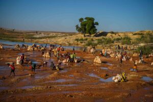 Madagaskar, södra turen, på väg till Ifaty