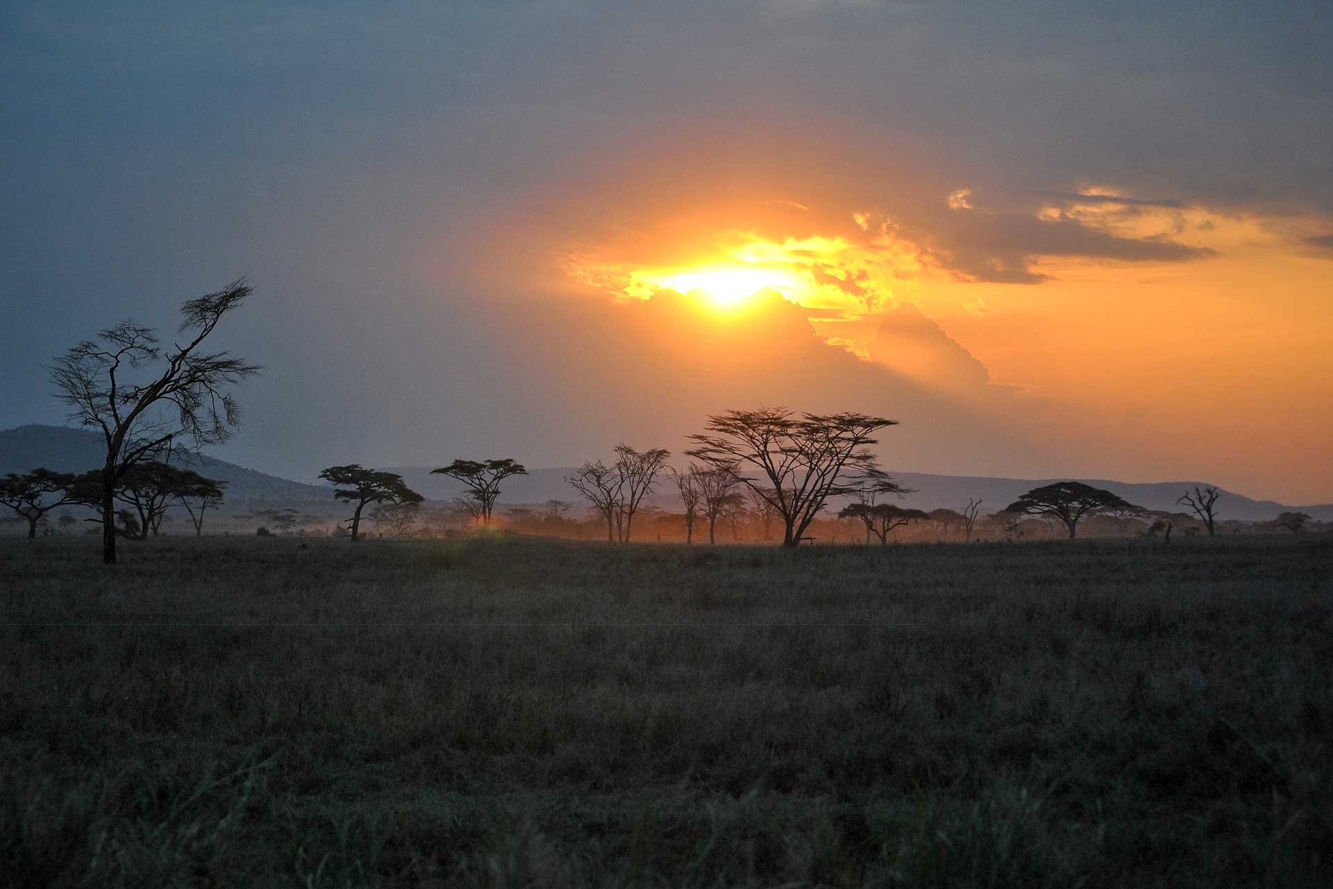 Tanzania resa väder