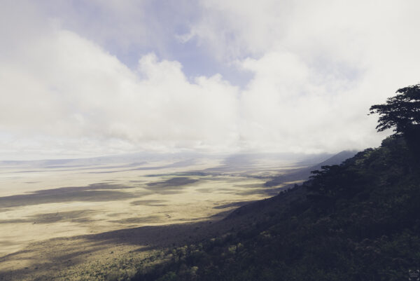 Ngorongoro