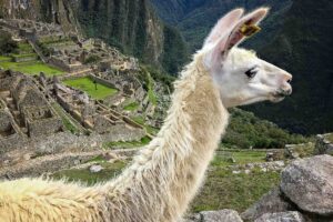 Peru, Machu Picchu, allt du behöver veta