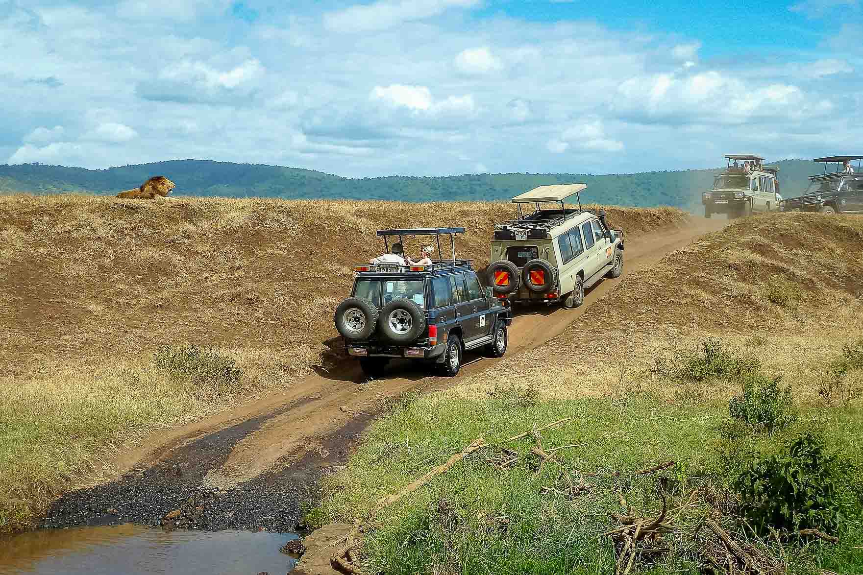 Ngorongoro kratern