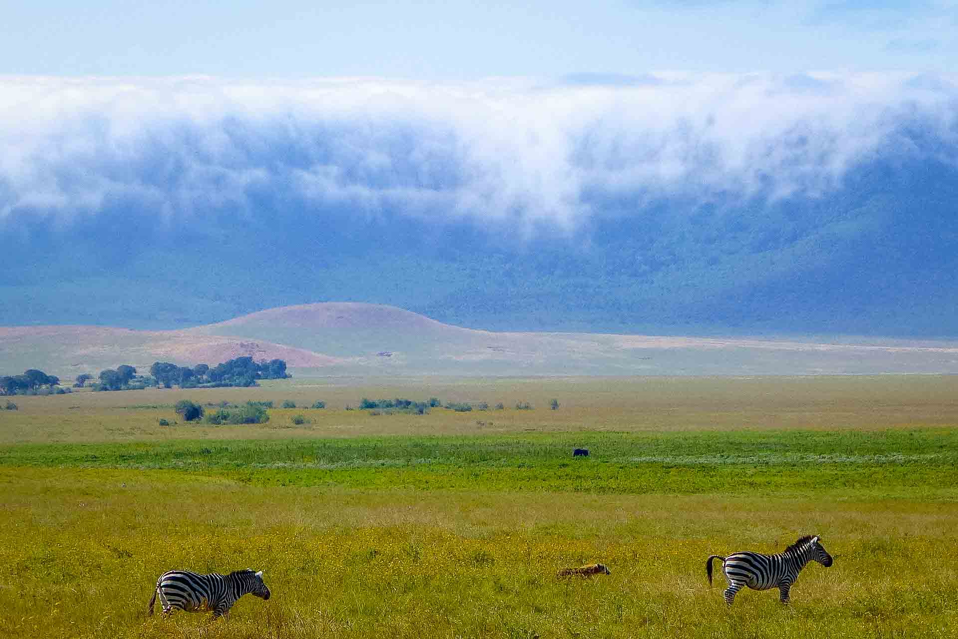 Ngorongoro kratern