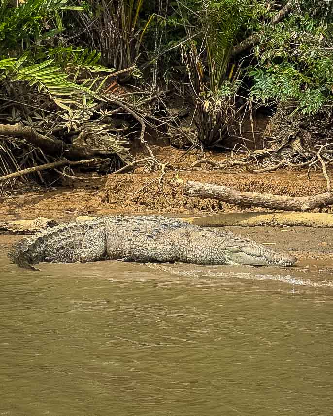 Costa Rica, Mona Magnus, bröllopsresa, reseberättelse