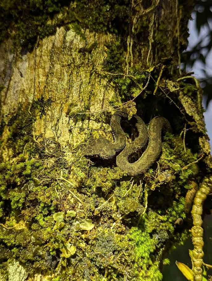 Costa Rica, Mona Magnus, bröllopsresa, reseberättelse