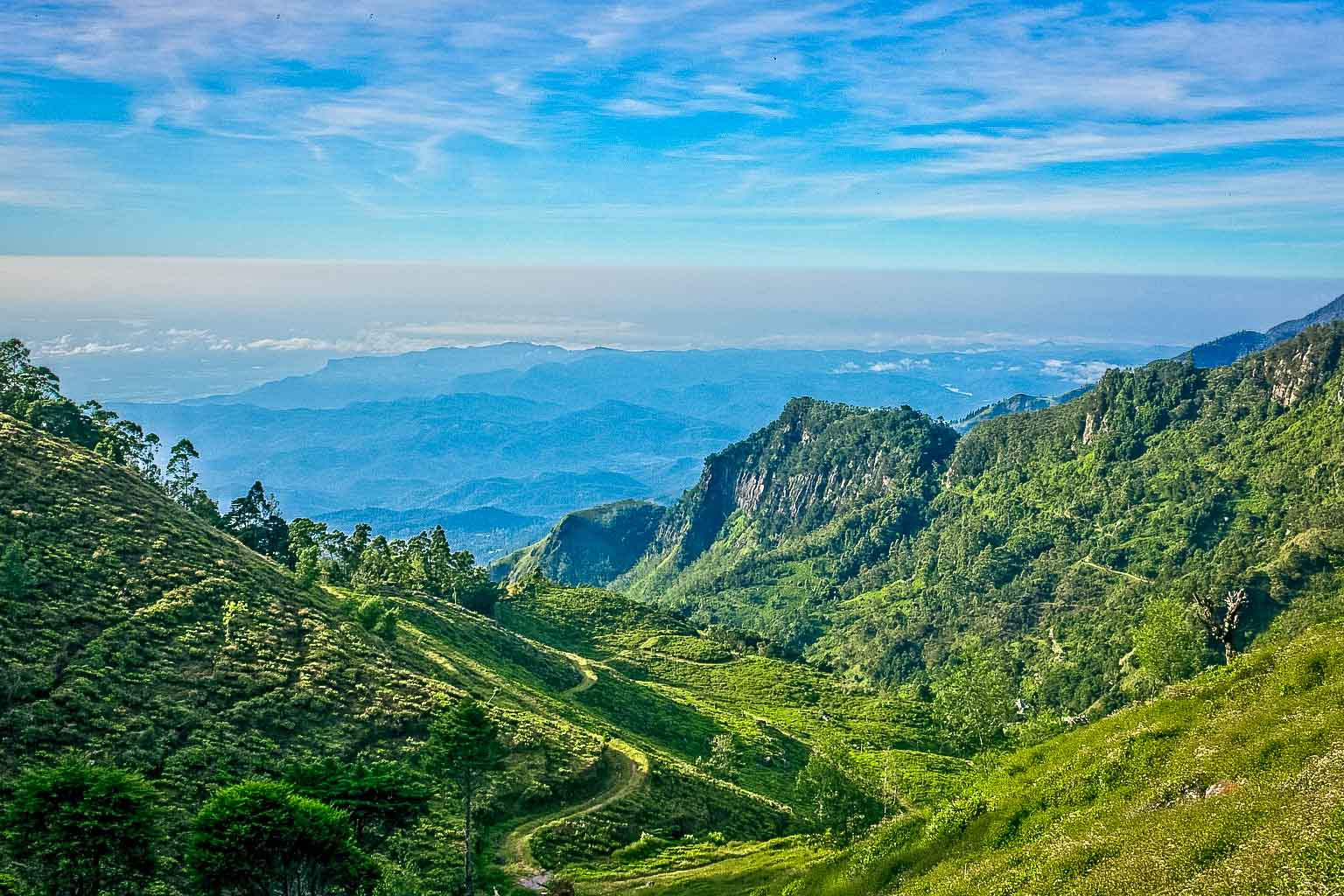 Sri Lanka teplantager, landskap