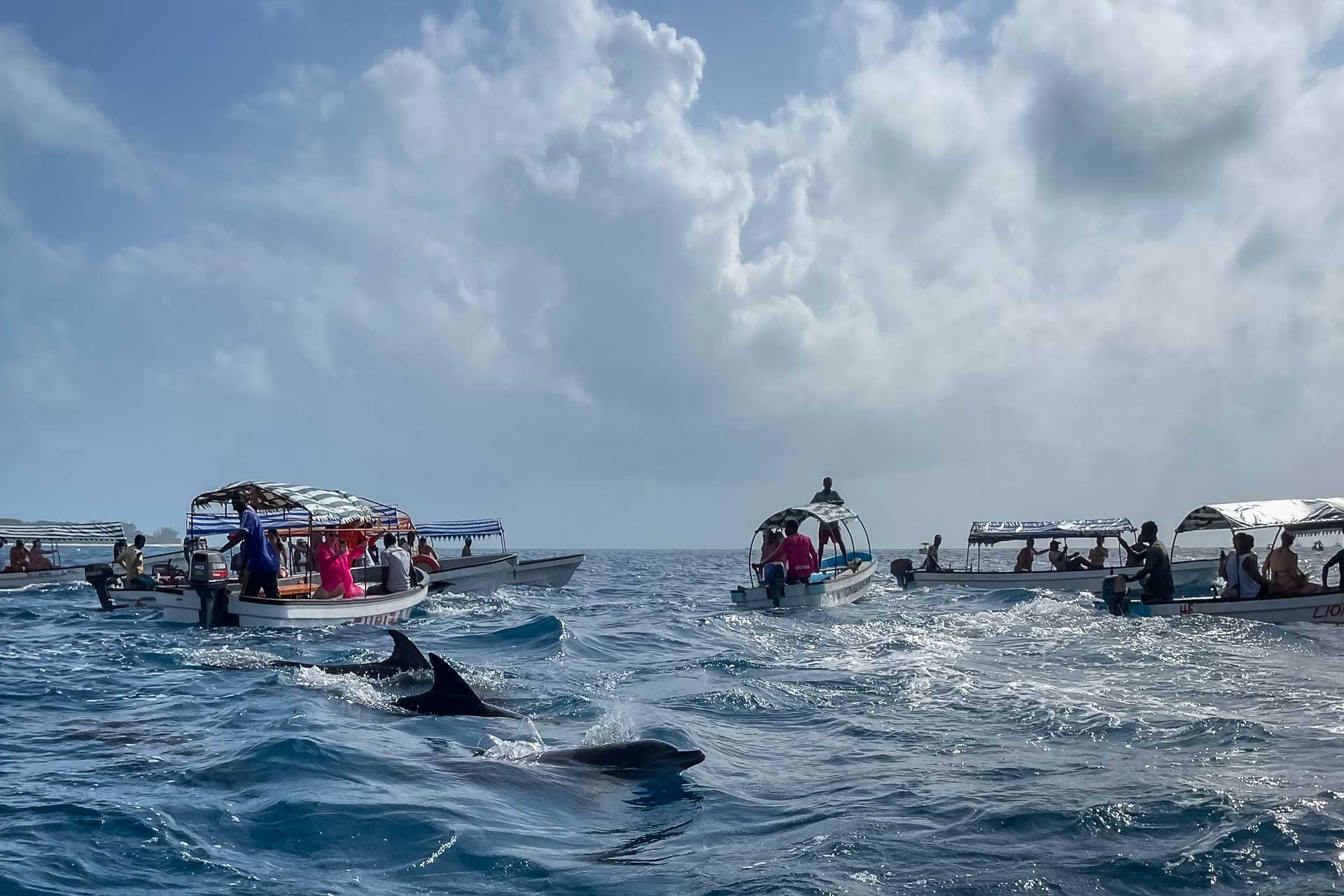 Tanzania, från våra kunder Lena och Sandra, zanzibar delfiner