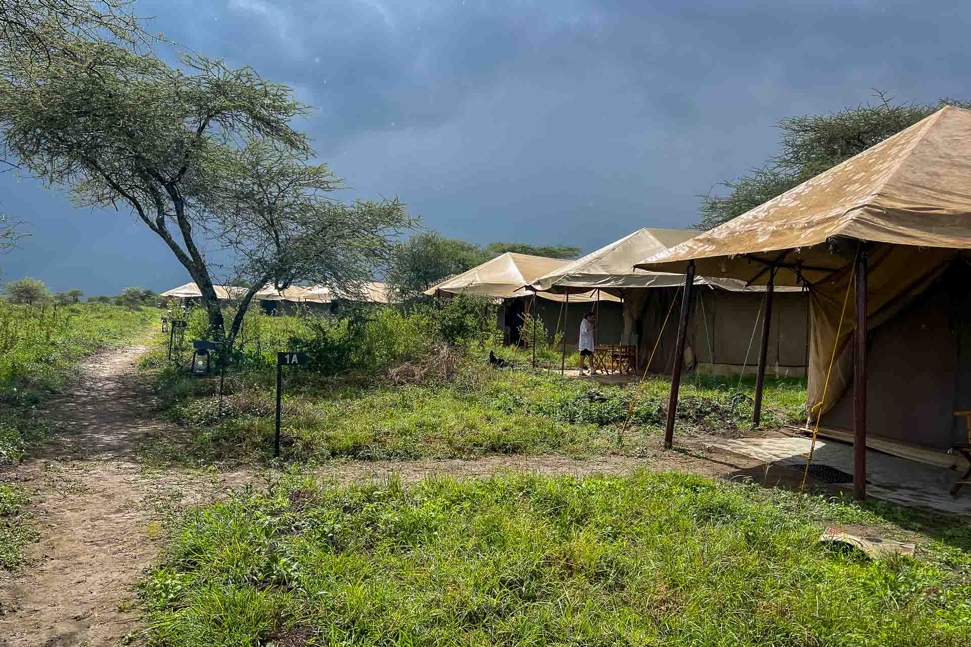 Tanzania, från våra kunder Lena och Sandra, tältcamp